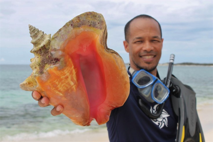 Leno with Adult Conch Shell